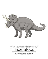 Triceratops, large plant-eating dinosaur from Cretaceous period.