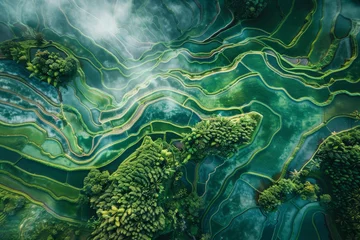 Fotobehang A drone captures a bird's eye view of a sprawling rice paddy. The terraced fields create a stunning pattern, with water reflecting the sky. © mila103