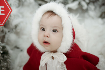 adorable baby posing with christmas theme