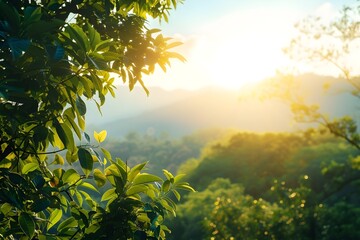 Obraz na płótnie Canvas sunrise in the forest with green leaf on blurred background generative ai