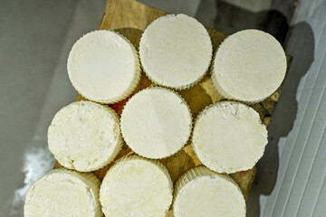 cheese dairy production milk yellow mature song cut pack farmer knife piece