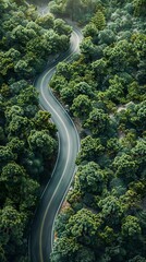 Aerial top view of road in forest.Winding road through the forest.Ecosystem ecology healthy environment road trip. Forest ecosystem and health concept and background, texture of green forest.