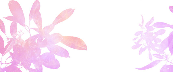 Fototapeta na wymiar flower galaxy illustration on transparent background clipart isolated on white