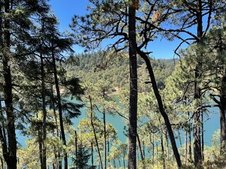 Vista del lago de aguas cristales entre los arboles