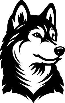  Alusky animal 