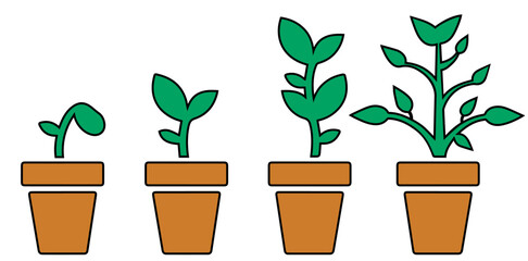 Flower plant in pot growth stage on white background vector