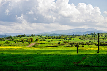 vineyard in region country, izmir