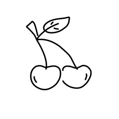 Hand Drawn Fruit Vector