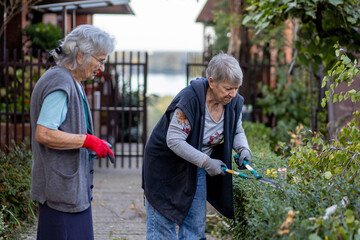 two elderly women working in garden together