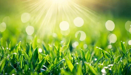 Papier Peint photo Vert-citron natural grass field background with blurred bokeh and sun rays