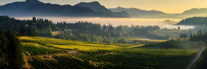 Foto op Canvas Panoramic Splendor of British Columbia Vineyard at Sunset © Logan