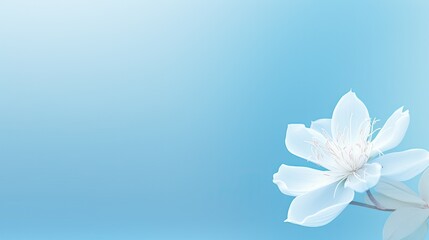 Obraz premium tranquil light blue background