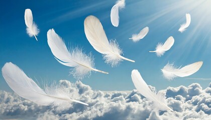 abstract white bird feathers falling in the sky freedom feather softness floating white feather