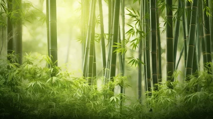 Gordijnen nature bamboo zen background © vectorwin