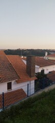 Obraz premium N1