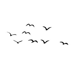 A Flock of Bird Silhouette