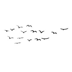 A Flock of Bird Silhouette