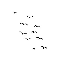 A Flock of Bird Silhouette