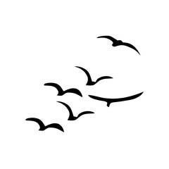 A Flock of Bird Silhouette