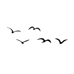 A Flock of Bird Silhouette