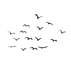A Flock of Bird Silhouette