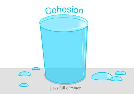 Cohesion, water molecules properties, hydrogen bonds polarity. Adhesion, surface tension. Molecular layout of liquid. Illustration vector