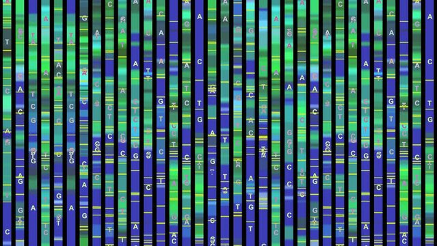 Genomic Data Visualization - DNA Test, Genome Map Architecture, Barcoding, DNA Sequence