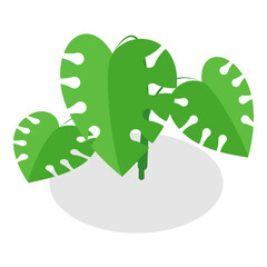 3D Isometric Flat Vector Set of Plants In Pots, Home Indoor Green Decor. Item 12