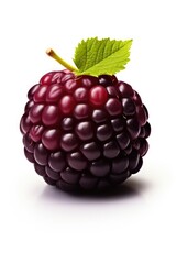 closeup of multiple a dewberry isolated on white background