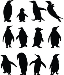 Penguin black icon set flat vector collection isolated on transparent. Logo baby cartoon character symbol graphic doodle animal element, characters play fun, make snowman, skating and skiing