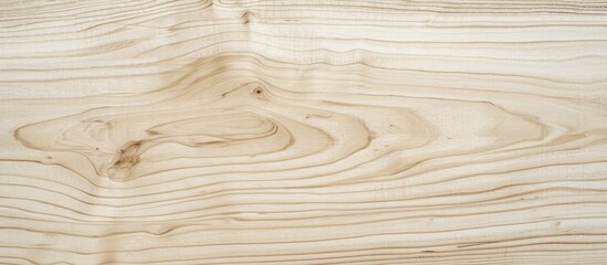 Obraz premium Detailed close up of natural wooden texture with intricate patterns and textures