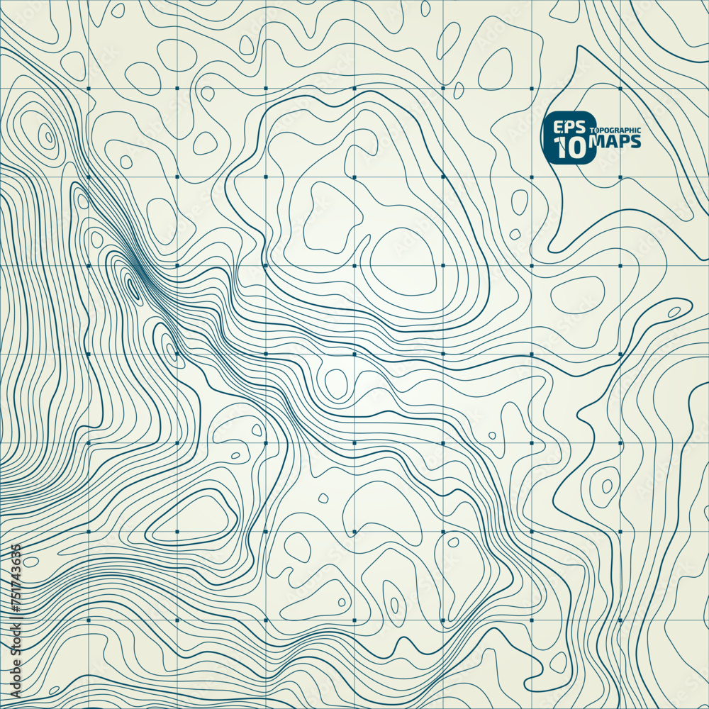 Poster stylized height of the topographic contour in lines and contours. сoncept of a conditional geography