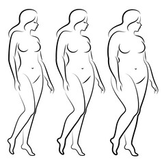 Collection. Silhouette of a beautiful woman figure. The lady is standing. The girl is thin, slender, and the woman is fat. Set of vector illustrations.