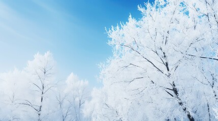cold wallpaper snow background