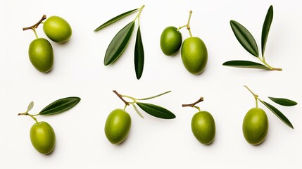 A series of photos featuring green olive branches, each isolated on a white background.