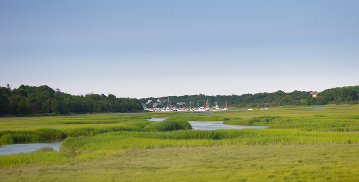 boats moored across the marsh