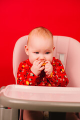 A little infant girl eats cookies sitting on a high chair on a red background. Feeding table. Baby having breakfast