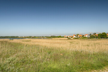 Panorama della Danimarca (isola di Torø)