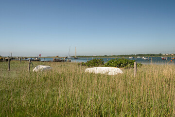 Panorama della Danimarca (isola di Tor&oslash;)