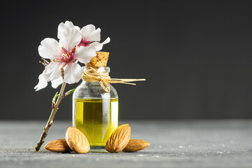 Glass bottle of Almond oil and almond nuts , almonds with almond tree flowers on table. Almond background concept with copy space