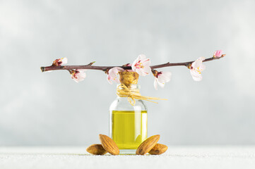 Glass bottle of Almond oil and almond nuts , almonds with almond tree flowers on table. Almond background concept with copy space