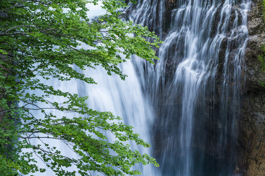 Lush green leaves frame the serene cascade of a waterfall in the Ordesa Valley, part of the Ordesa y Monte Perdido National Park in Huesca