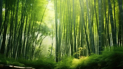 Foto op Aluminium bonsai nature japanese background © vectorwin