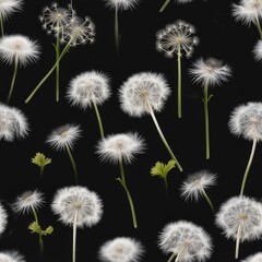 Seamless pattern of white fluffy dandelions with seedlings on black