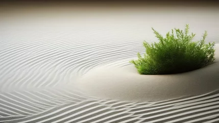 Poster peaceful sand zen background © vectorwin