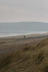 Couple walking on the beach at Porth Neigwl (Hell's Mouth)