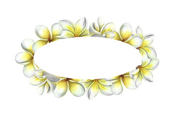 Oval frame with plumeria, tropical fragrant frangipani flowers. Hand-drawn watercolor illustration. For packaging and labels. For posters, flyers, greeting cards and invitations.