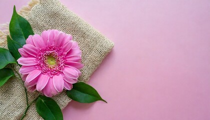 a pink flower with a piece of cloth on a pink surface background a top view picture with copy space on the right to display products or write text - obrazy, fototapety, plakaty