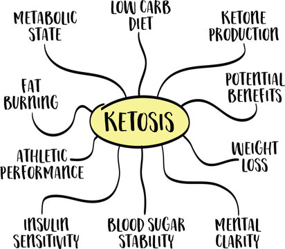 metabolic state of ketosis and its potential benefits for health and fitness, mind map infographics, vector sketch