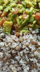 Guacamole, abacate com tomate, e arroz integral com lentilha.